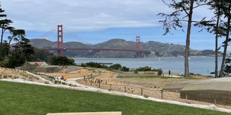 Presidio picnic