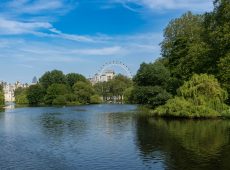 St James's Park view from the bridge